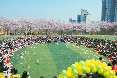 벚꽃데이